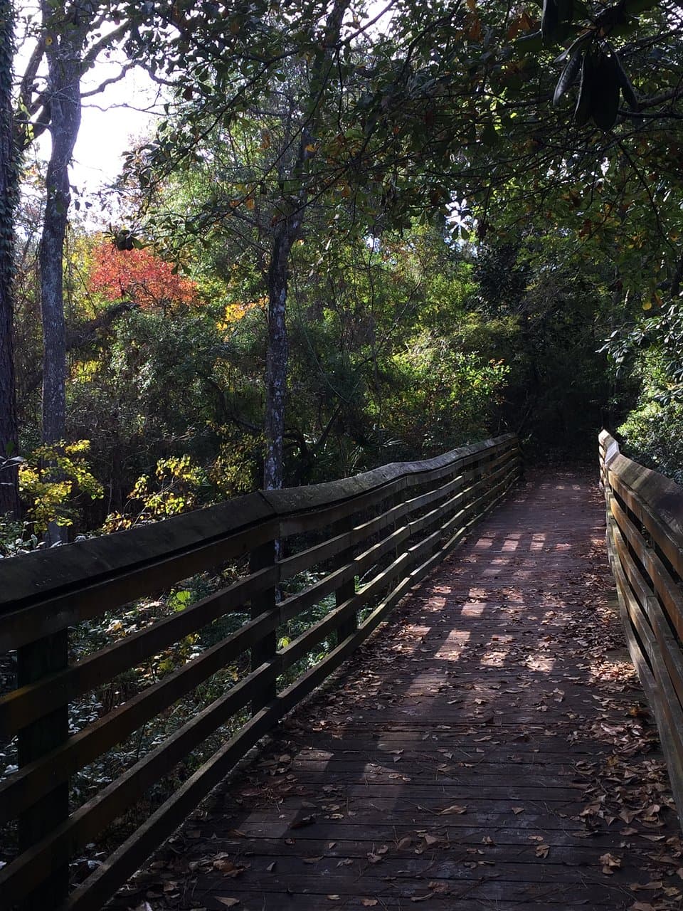 Fall color on a bridge over Silver Sands Creek
