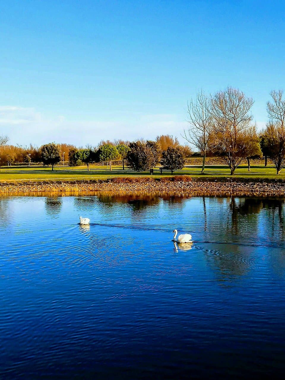 Bel parco con laghetto, vicino al mare a Caorle