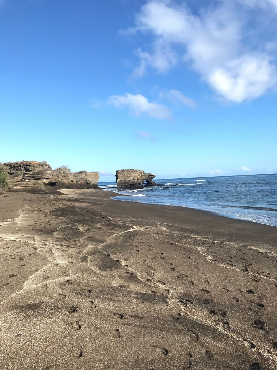 Wonderful visit and walk with amazing wild life.