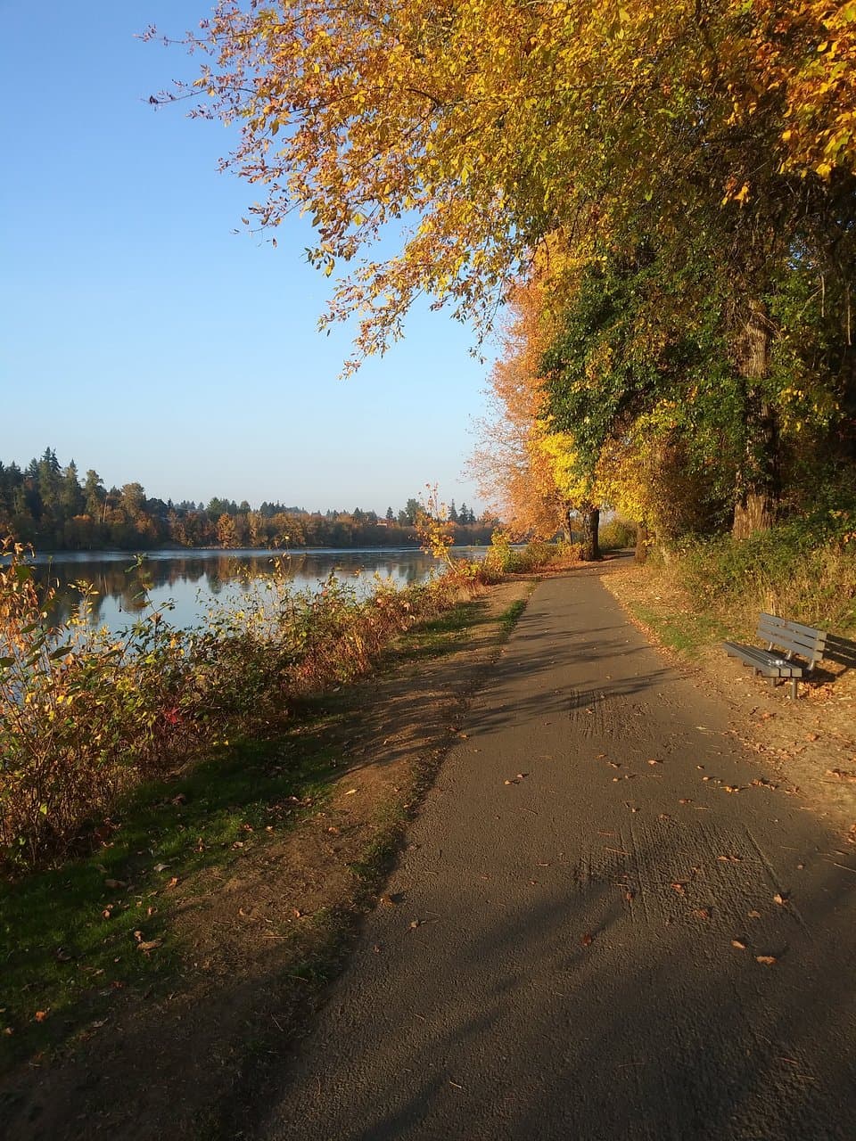 Minto-Brown Island Park