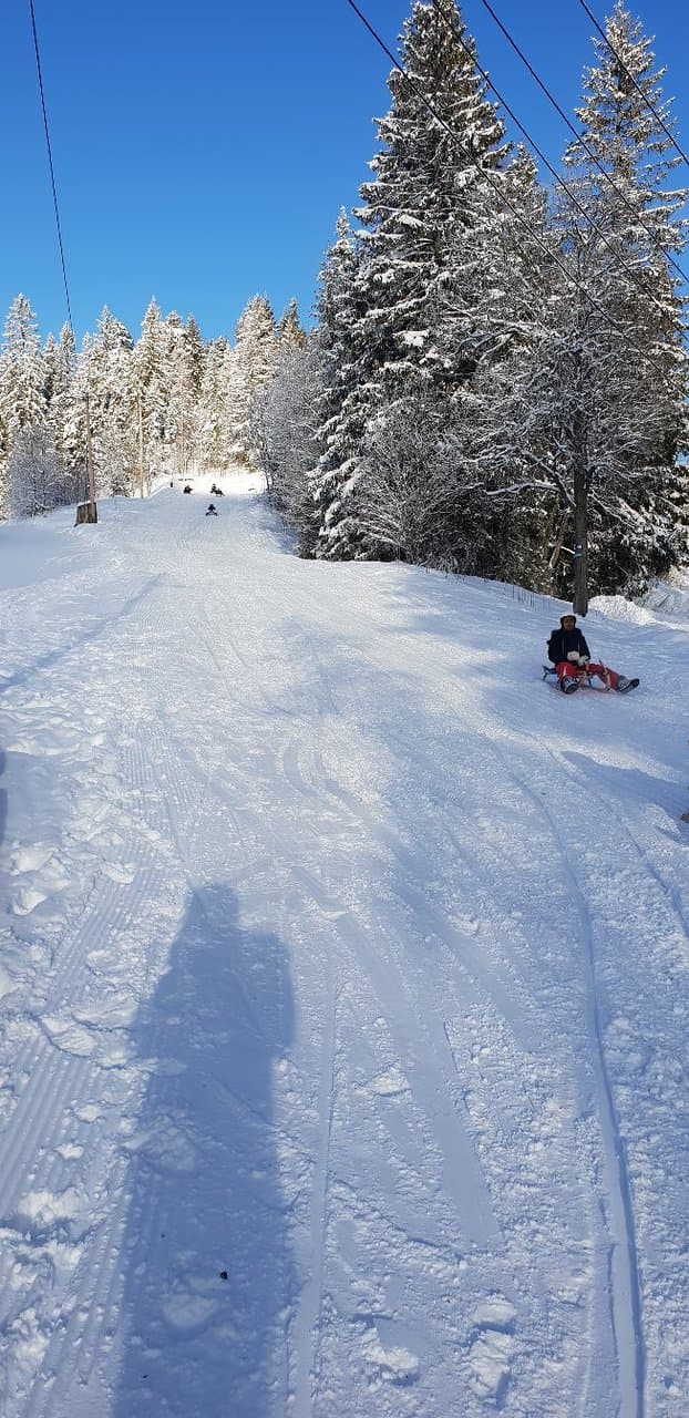 Korketrekkeren Toboggan Run