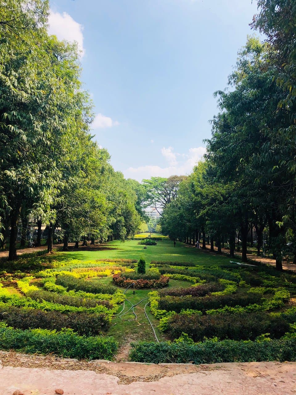 Cubbon Park Bangalore