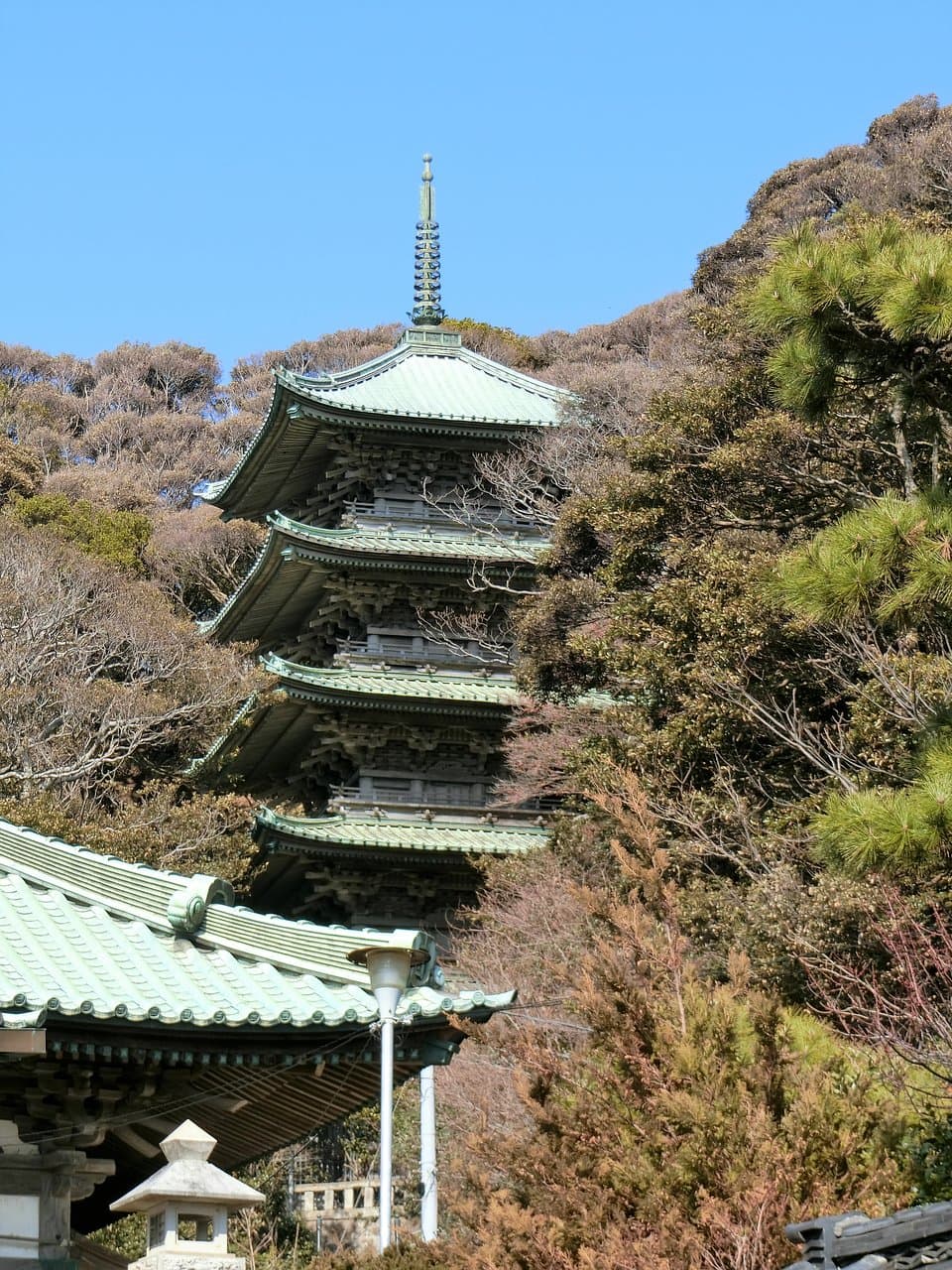 五重塔～本堂前から
