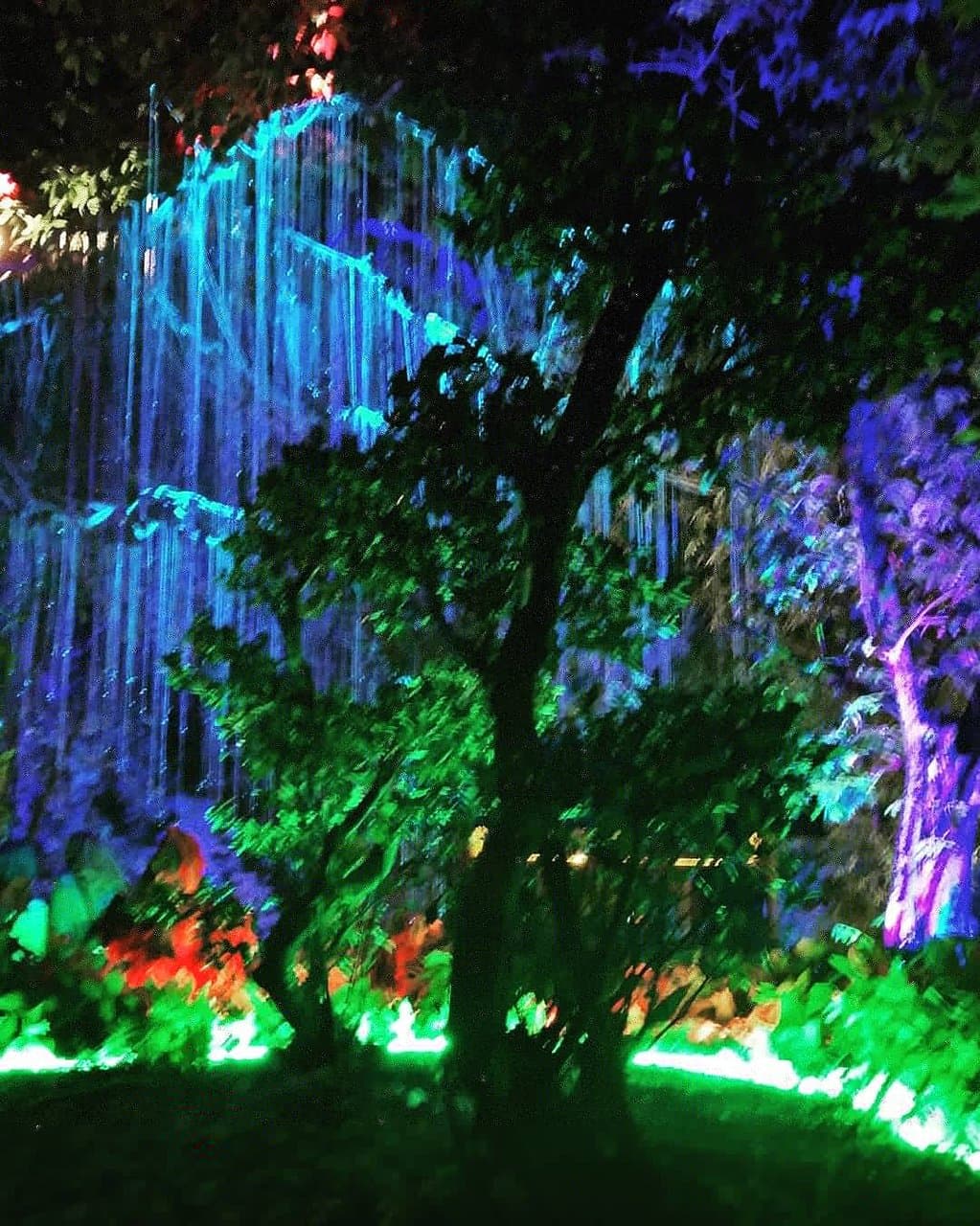 Paloh Khoo Miu Temple