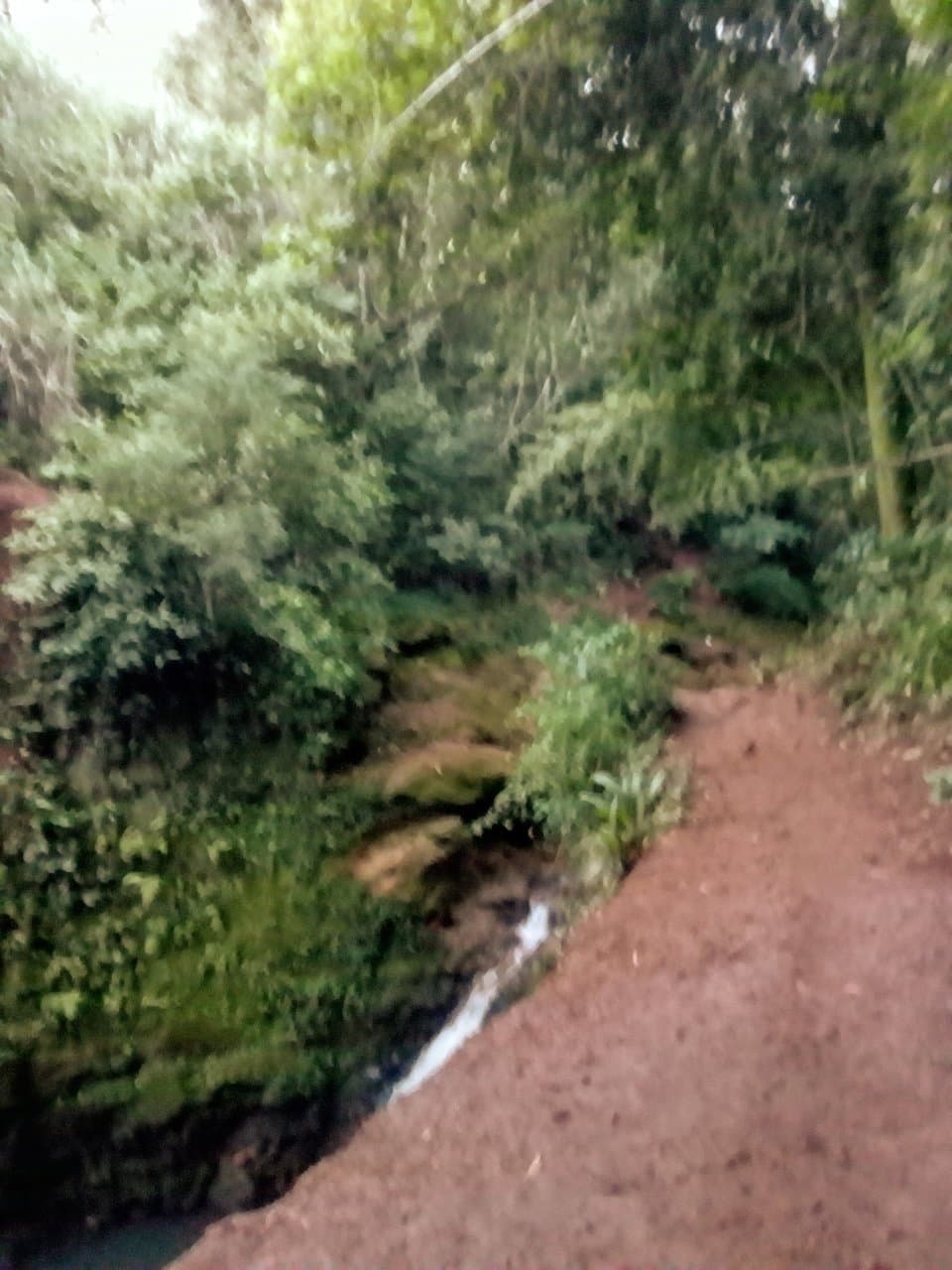 Caminho principal de acesso à cachoeira do parque.