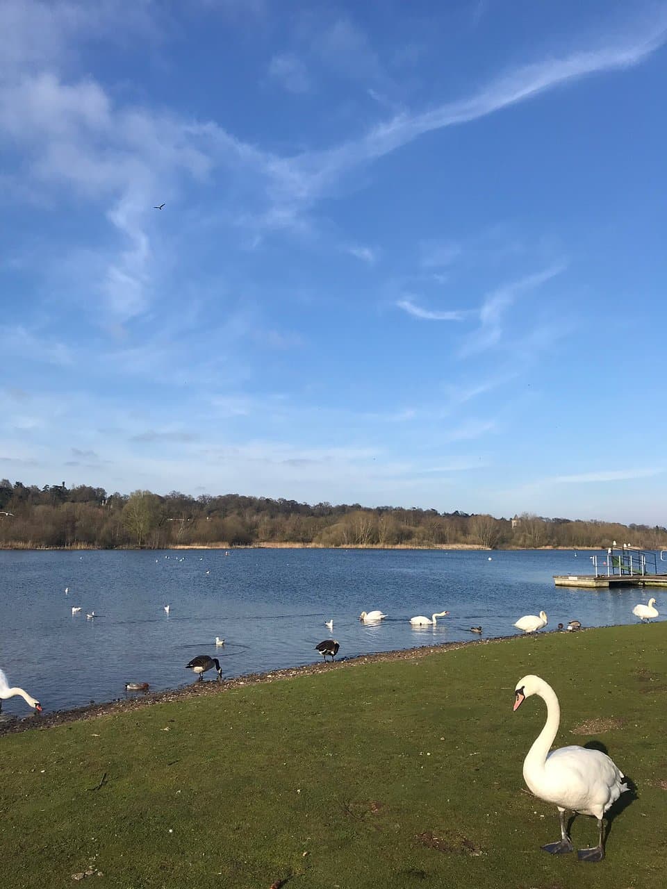 Whitlingham Country Park
