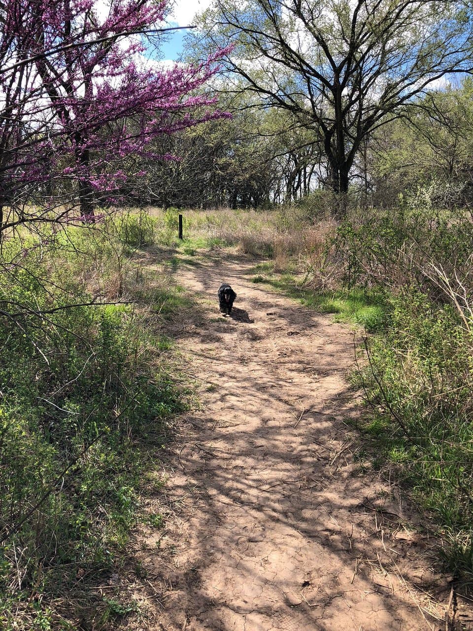 Pawnee Prairie Park