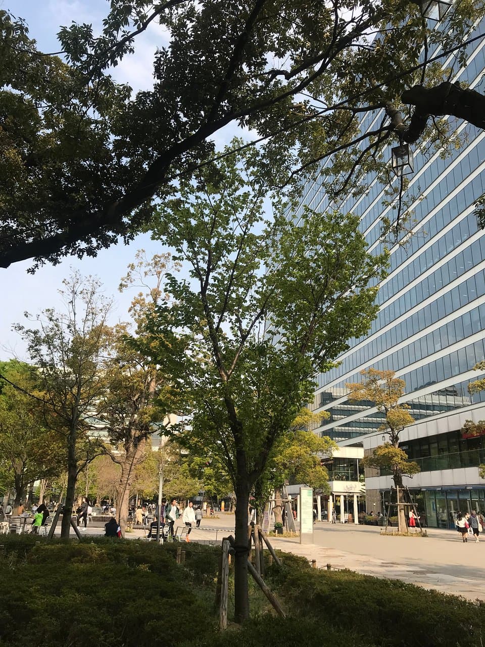 サウスタワー側の飲食店と公園