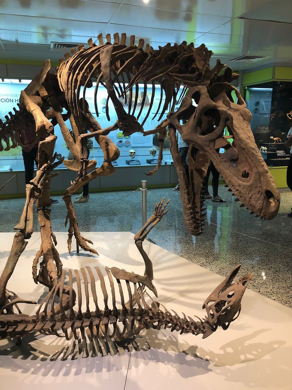 Museo Nacional de Historia Natural