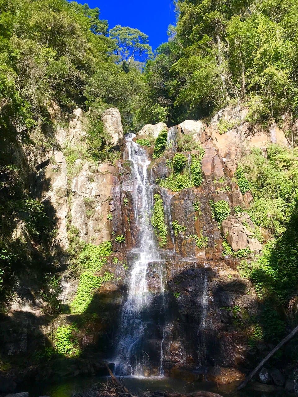 Minnamurra Falls