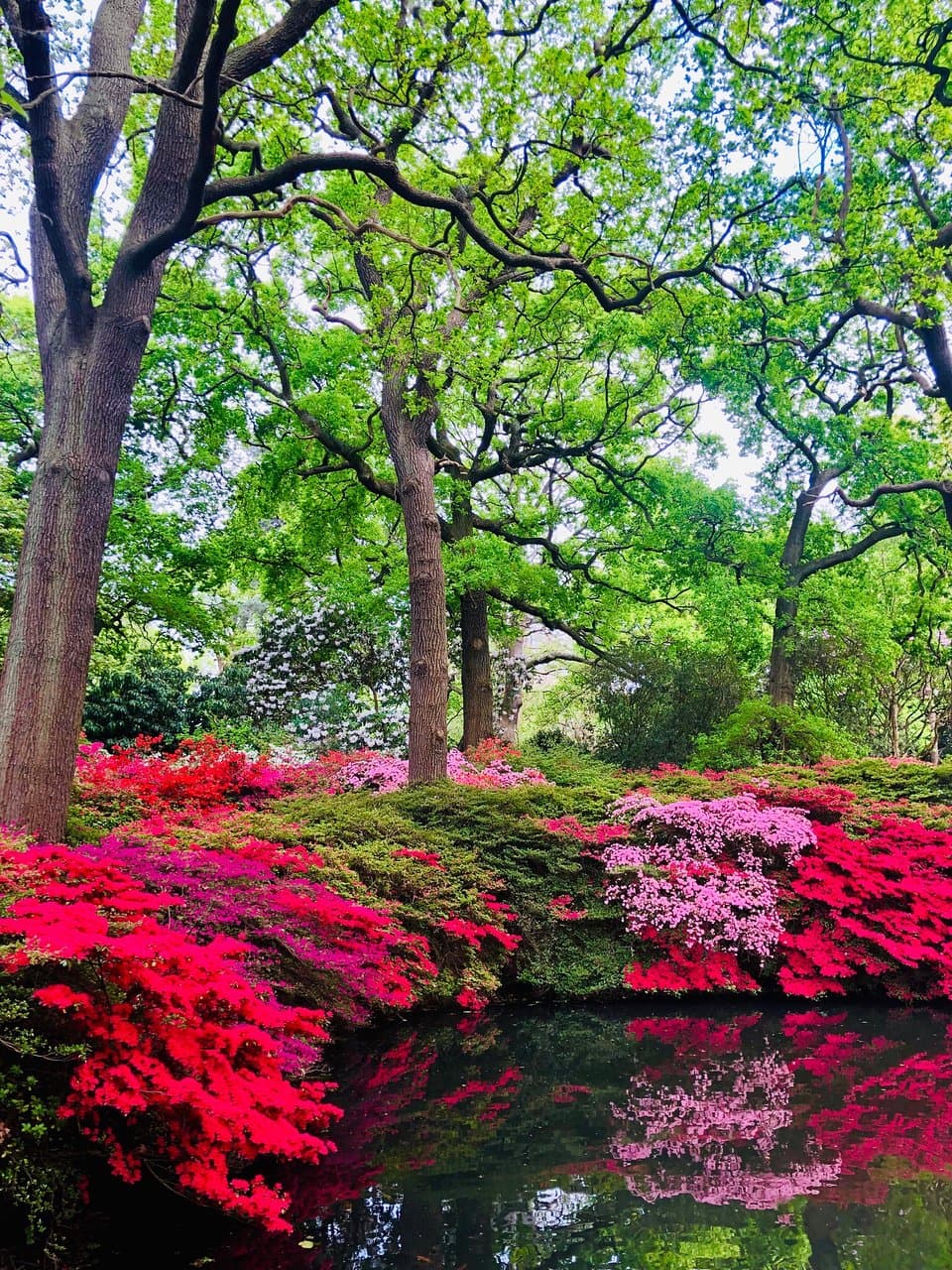 Isabella Plantation London
