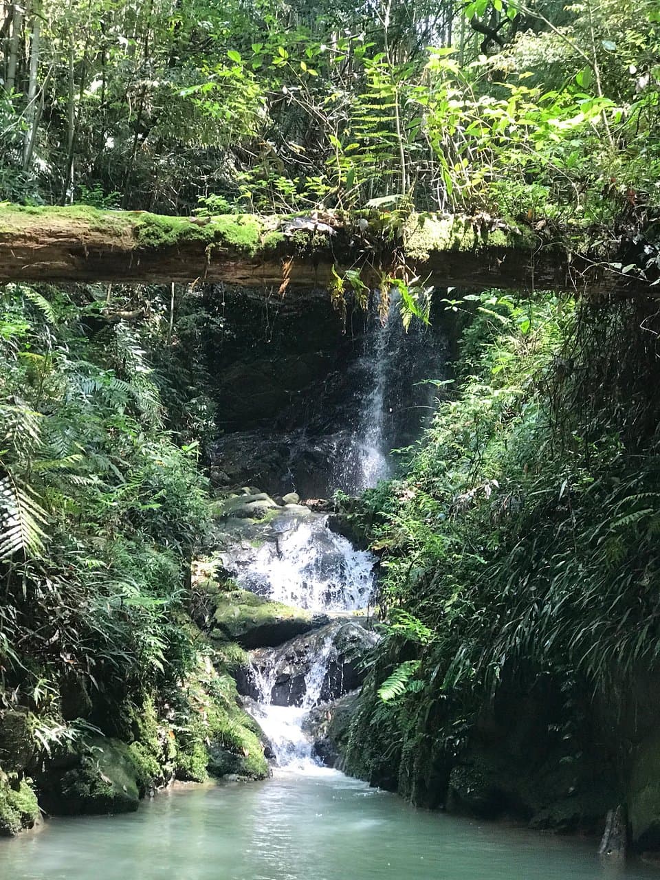Ioki Cave Aki