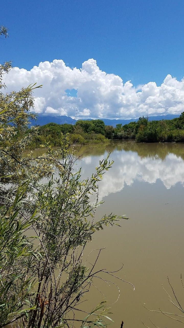 Jean Sweeney Open Space Park