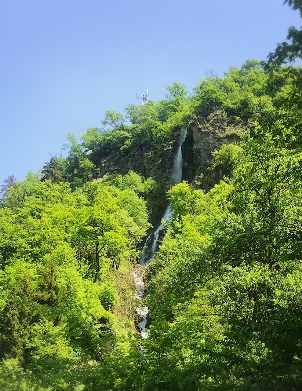 Borjomi Central Park