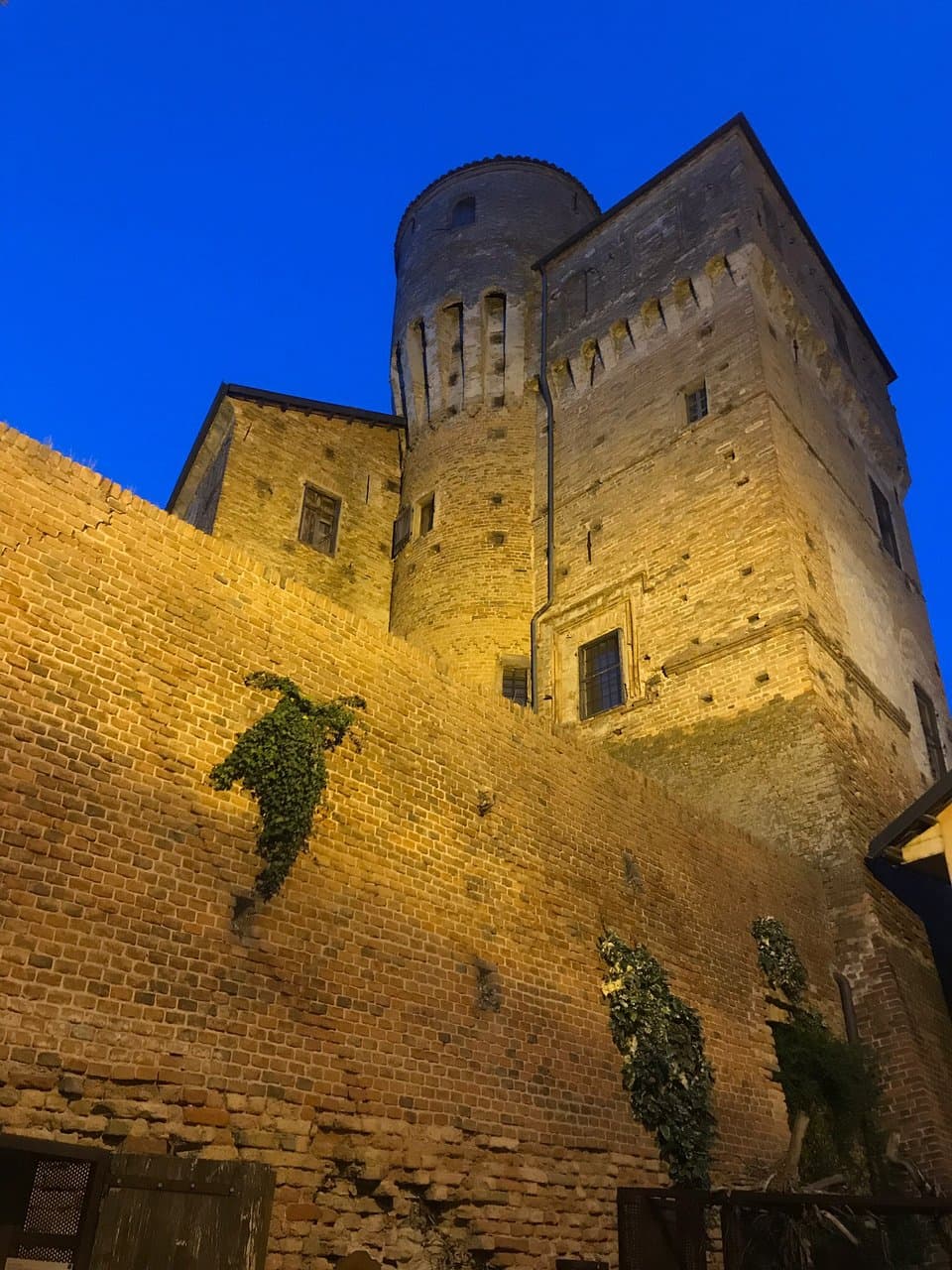 Castello di Roddi Truffle Dog University