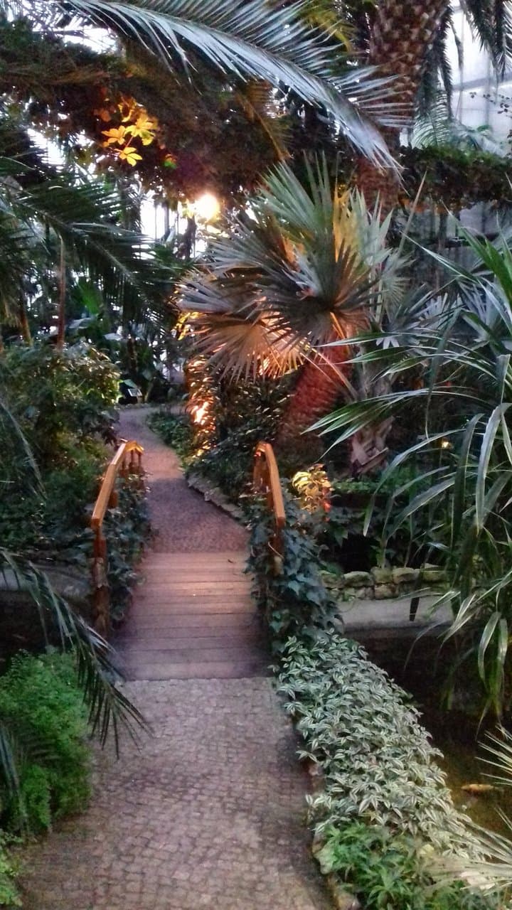 Gliwice Palm House