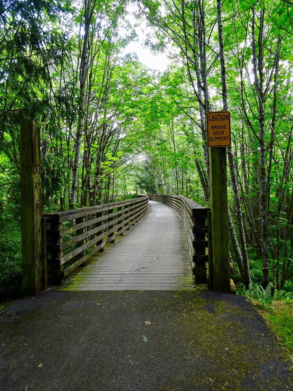 Olympic Discovery Trail