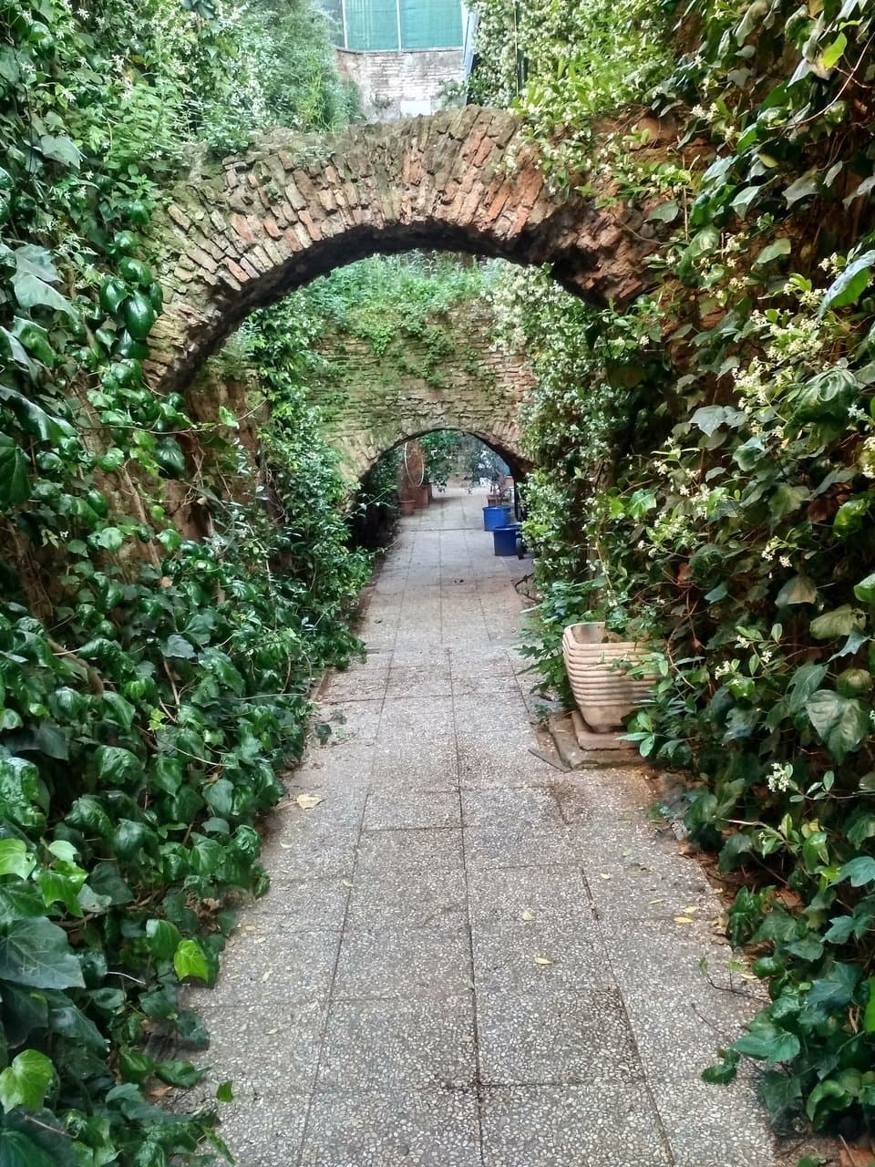 nearby, behind the Arch of Janus, is a place that seems to be connected to Cloaca Maxima (see photos)