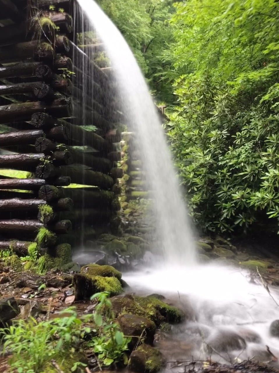 Mingus Mill
