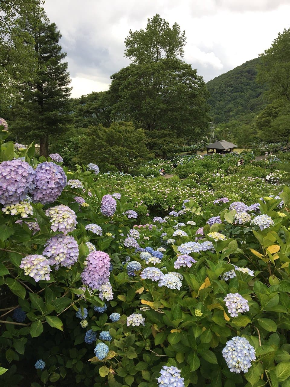 Maizuru Nature and Cultural Park