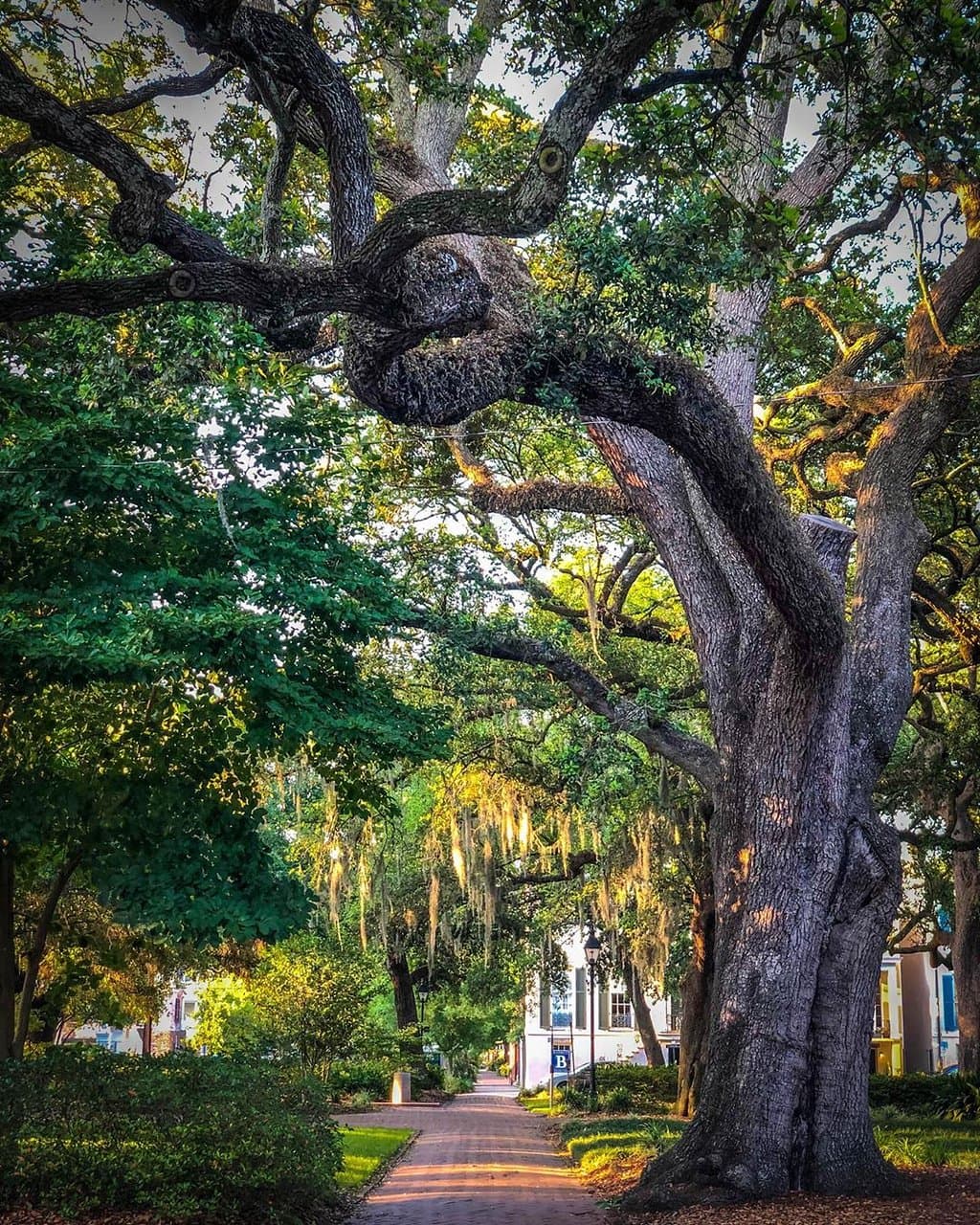 Savannah's such a showoff. We're not mad about it.

[Photo credit: @earlvarona via Instagram]