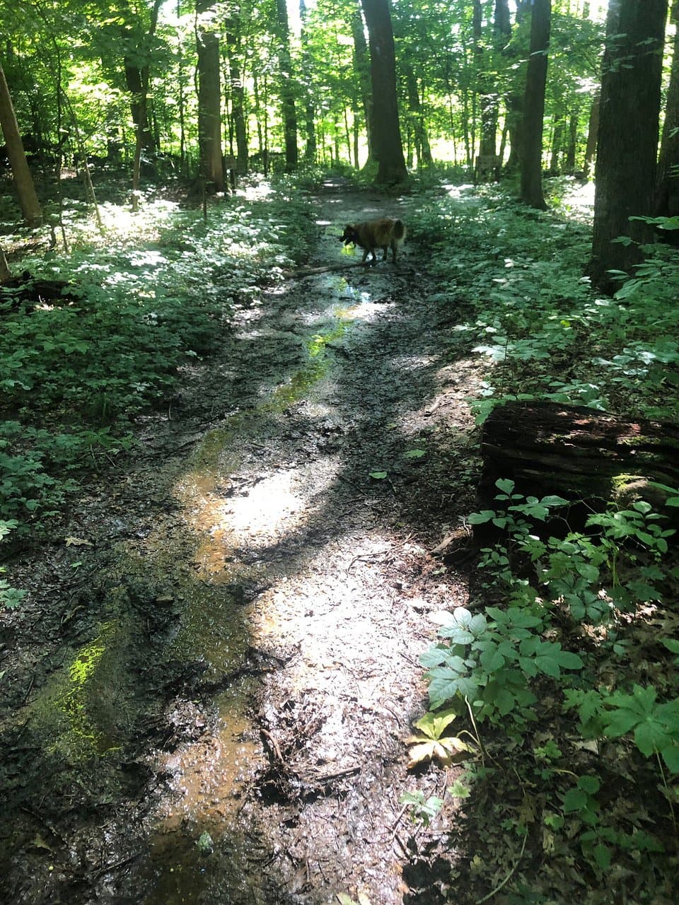 Flint Ridge Ancient Quarries and Nature Preserve