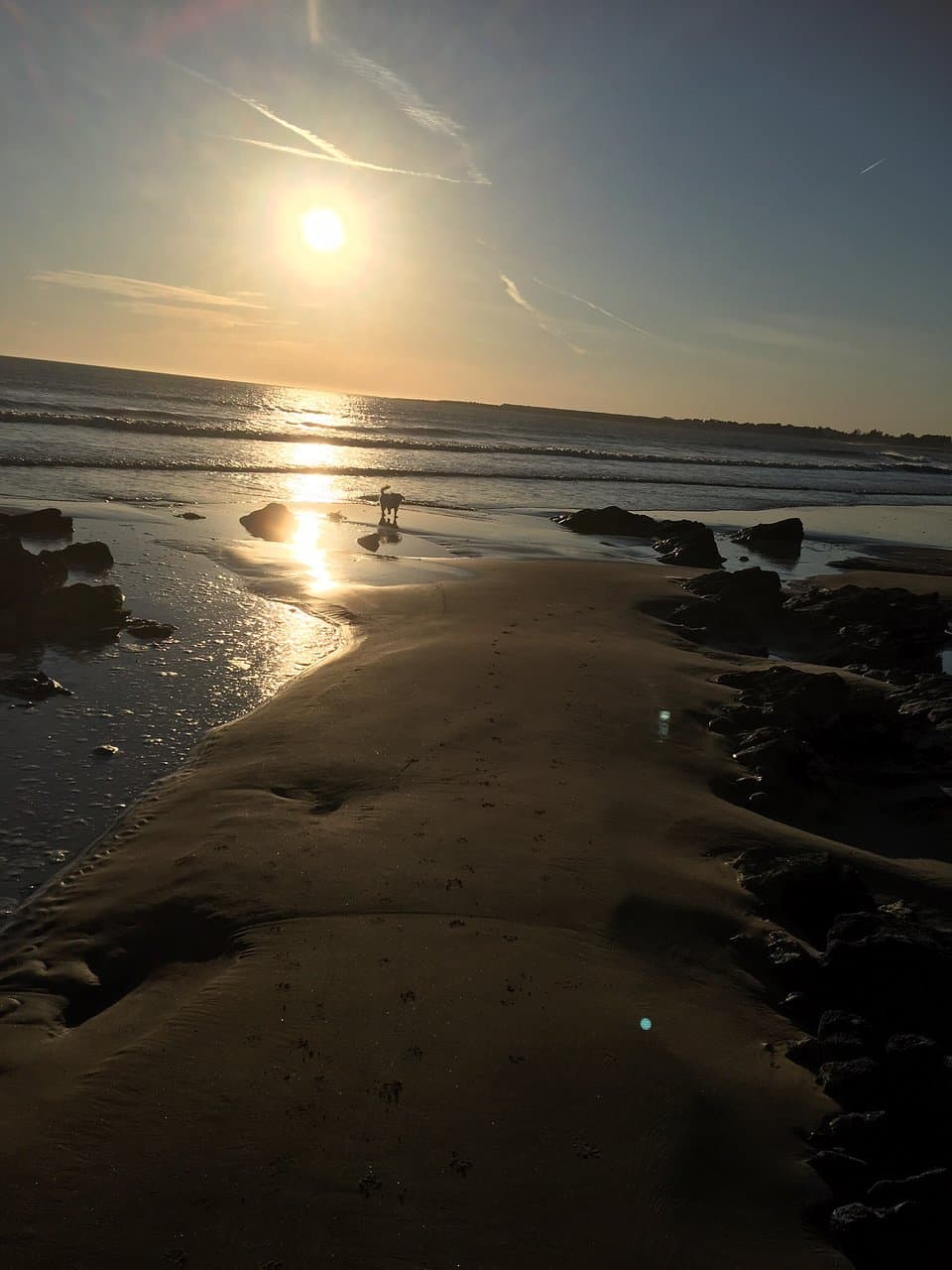 Merthyr Mawr Sand Dunes