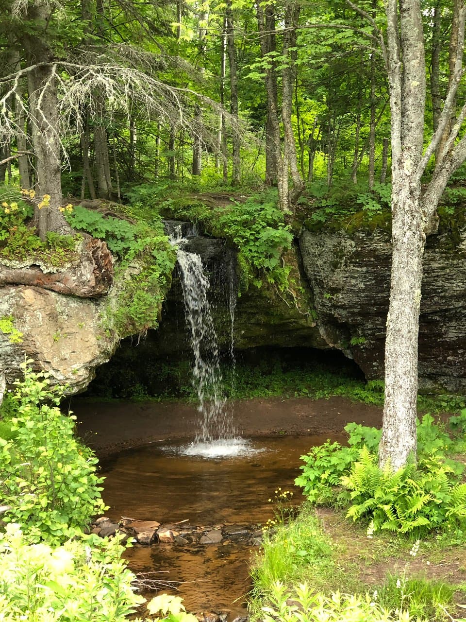 Scott Falls