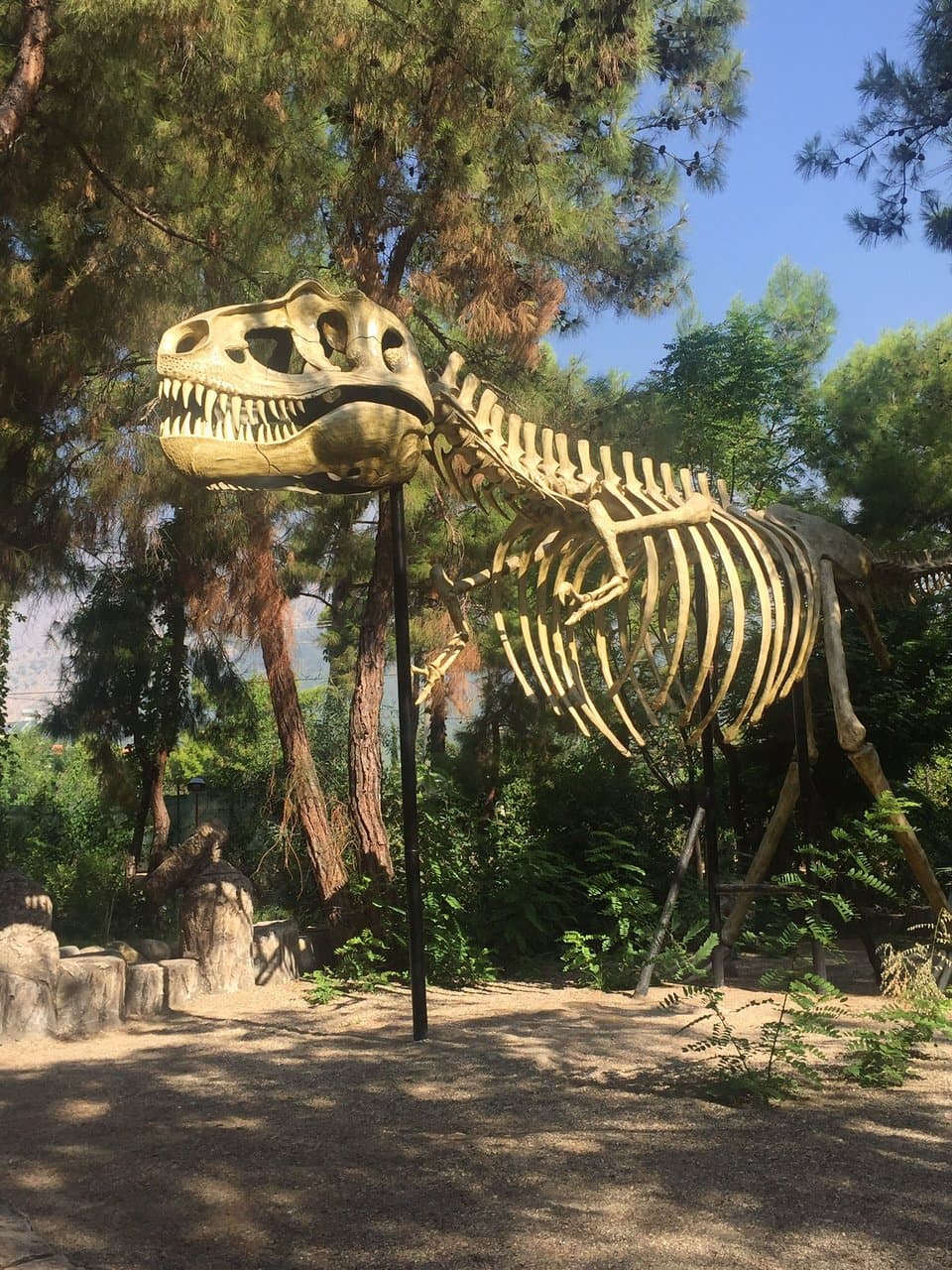 Прям очень советую ! Парк супер !  лучше ехать с утра пока нет жары ,но даже если вы приехали в пик жары ,то здесь много тени все в деревьях,что очень радует ! По этому солнце не печёт !  Моей дочке понравилось очень ,ей 2 года  .Динозавры как живые ,издают звуки шевелятся . Есть зайчики ,курочки,лошадки можно покататься на них . Есть магазинчик где можно купить динозавров .Цены разные 14-40 $  Так же на территории кафе ,детские бассейны с горками .Есть лодочки для деток по 3$ прям советую !