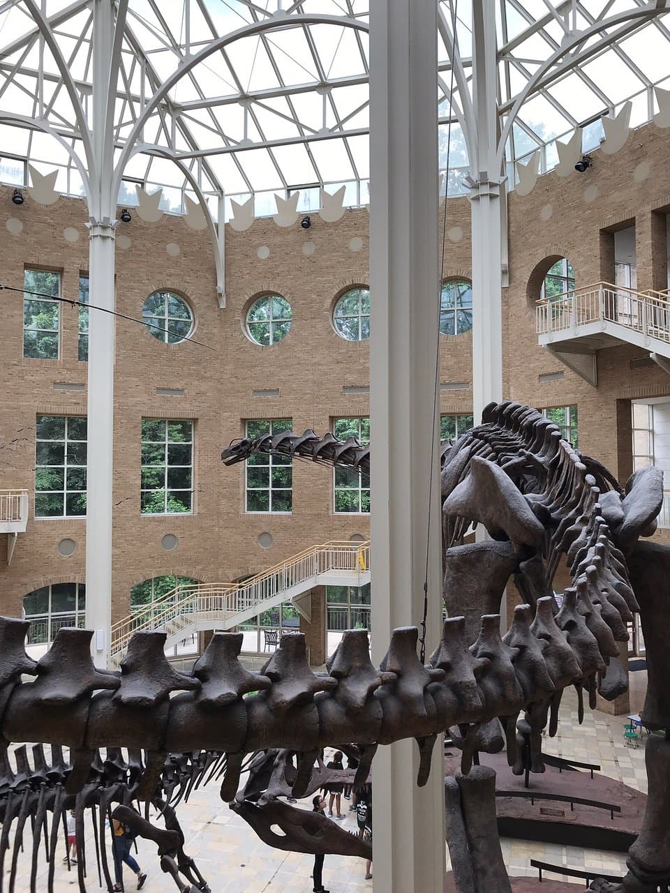Fernbank Science Center