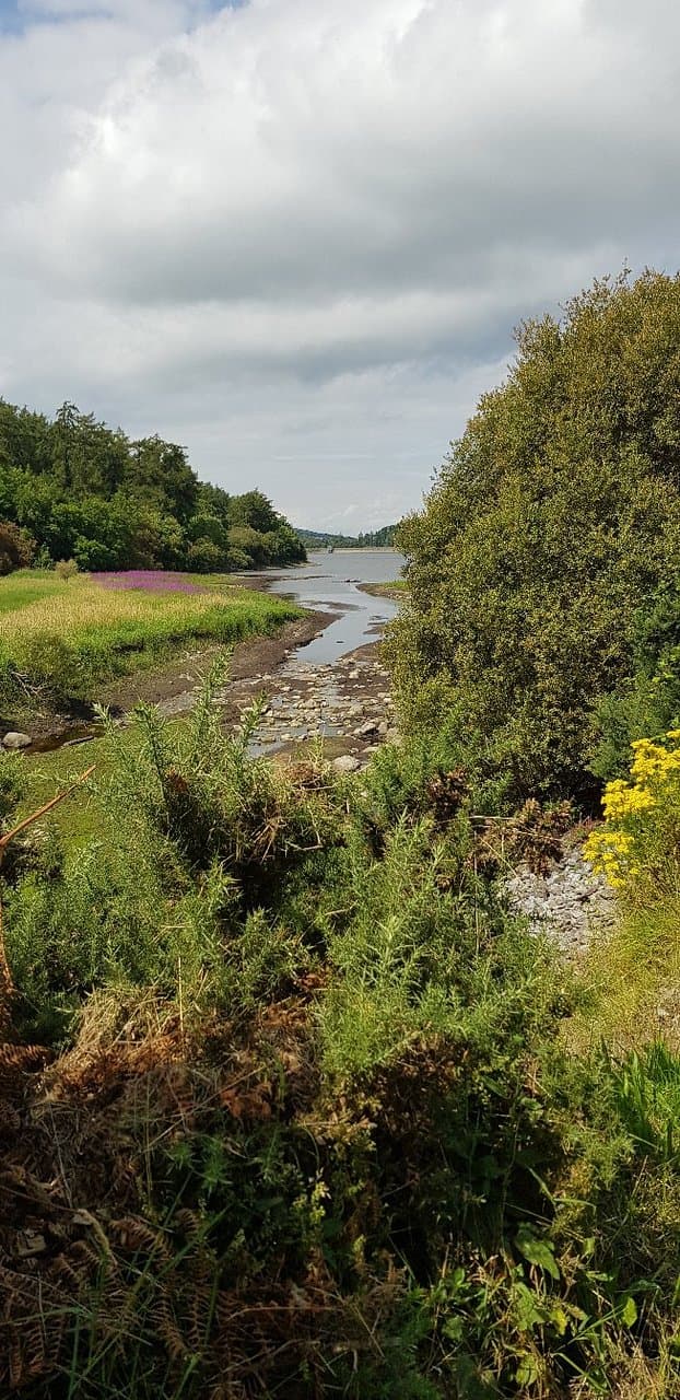 Rock Climbing in Dublin Mountains
