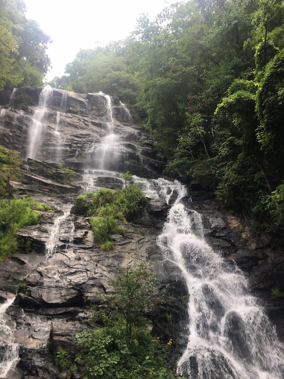 Cook's Ridge Gwynn Creek Loop