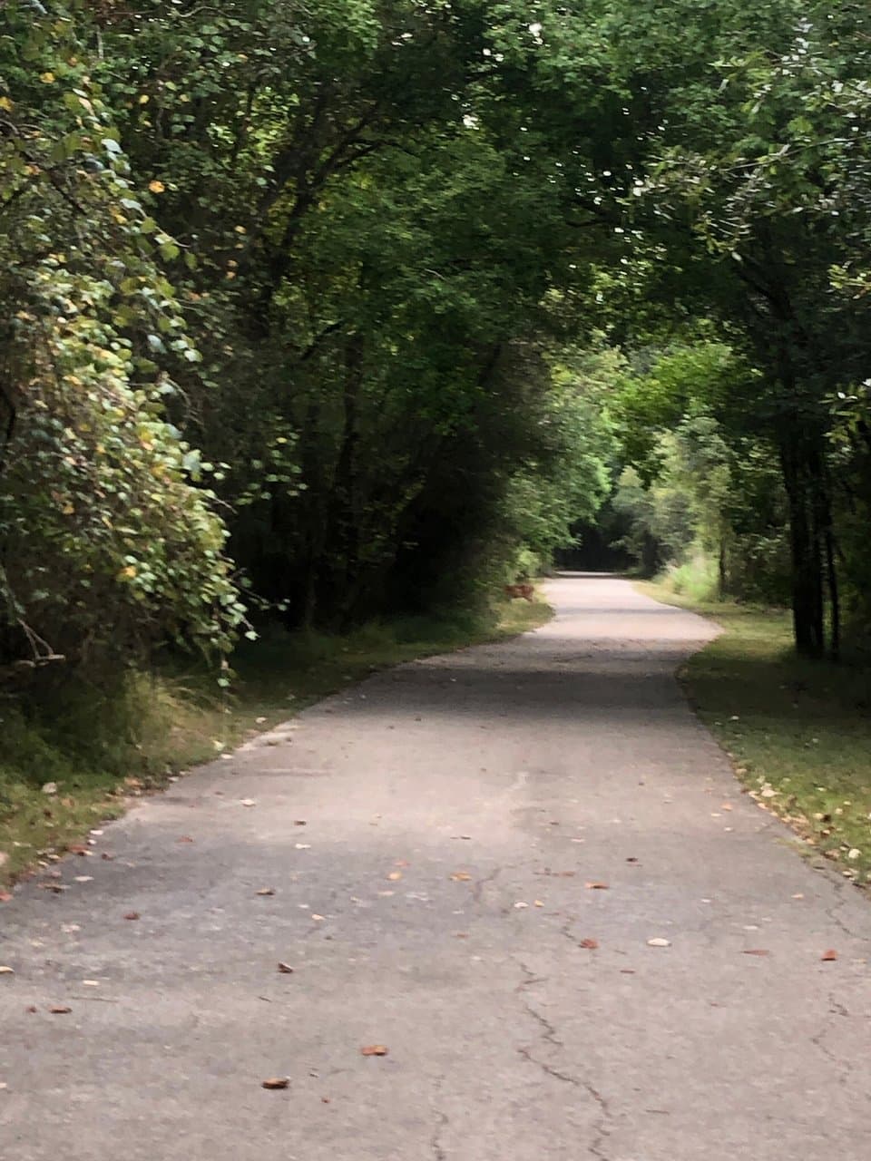 Cullen Park