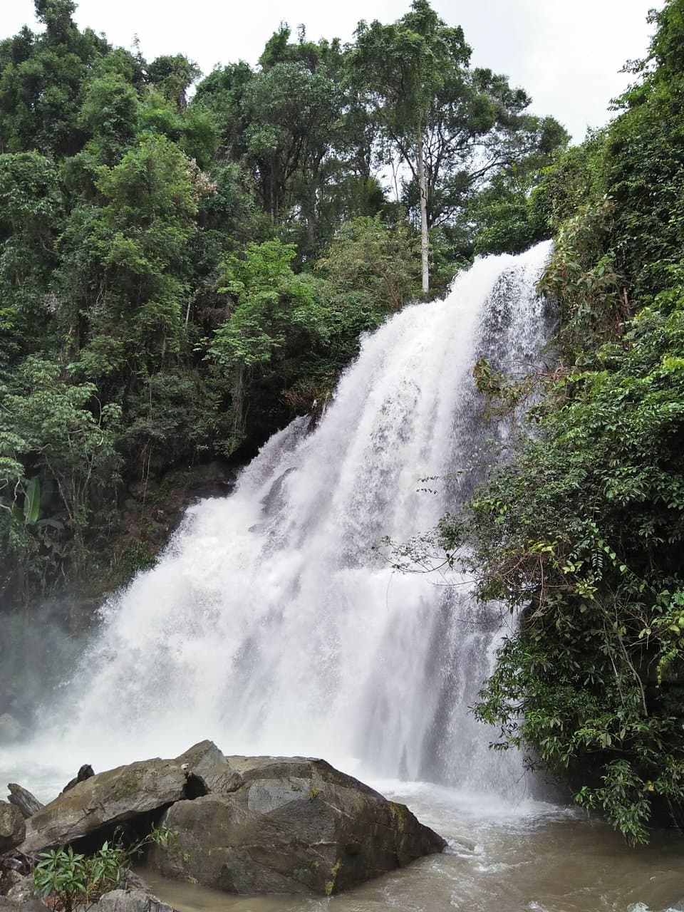 Trip in the rain season : Trekking at Doi Inthanon "Phadokseaw"
By Wendy Tour & Trek