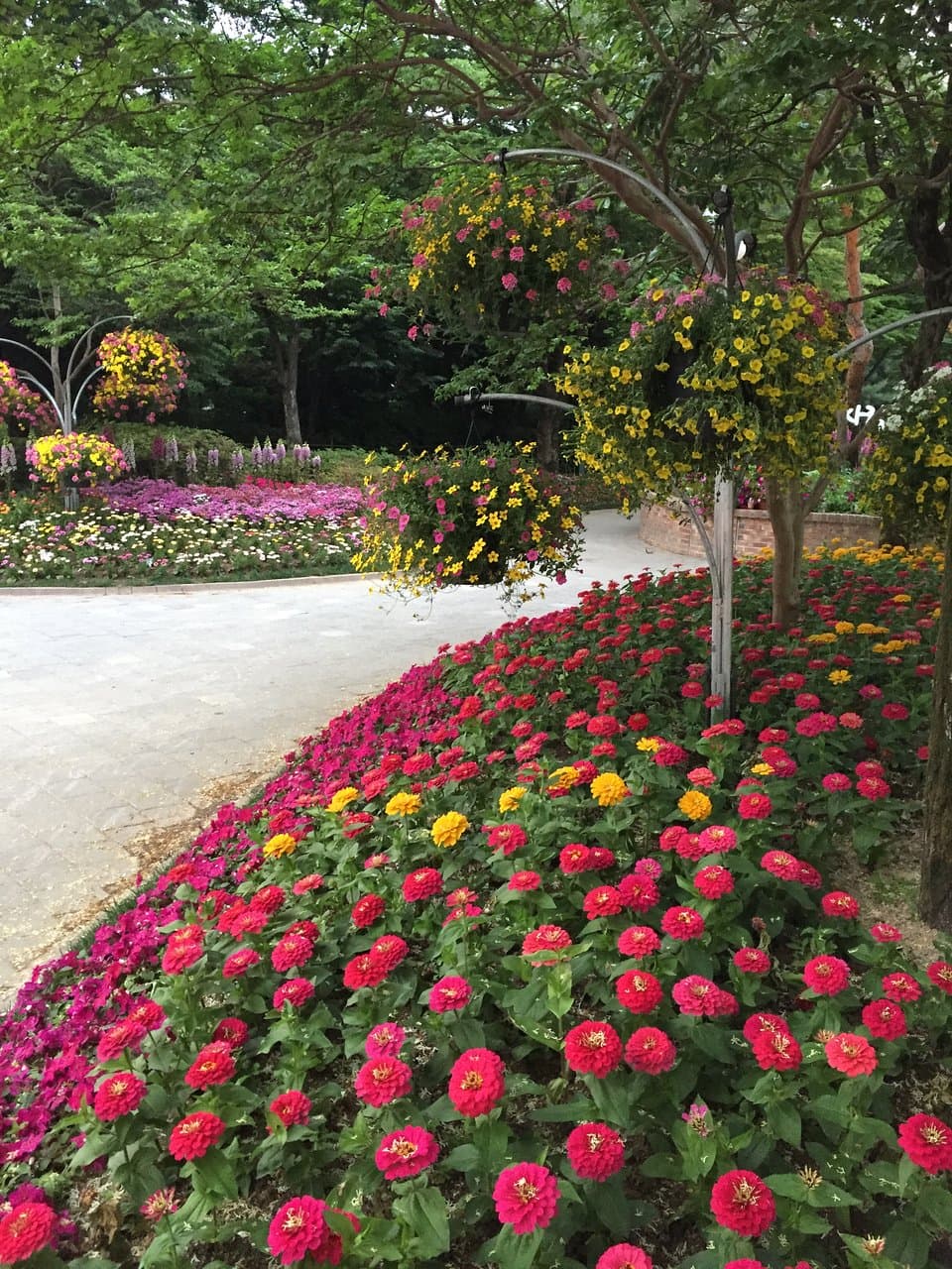 Yuseong Foot Spa Plaza