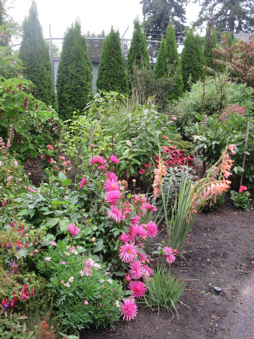 Evergreen Arboretum-Flower Beds