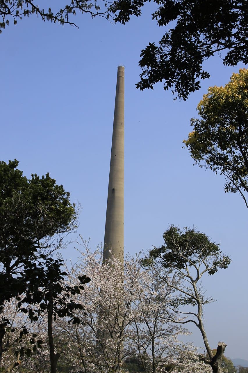 桜の季節