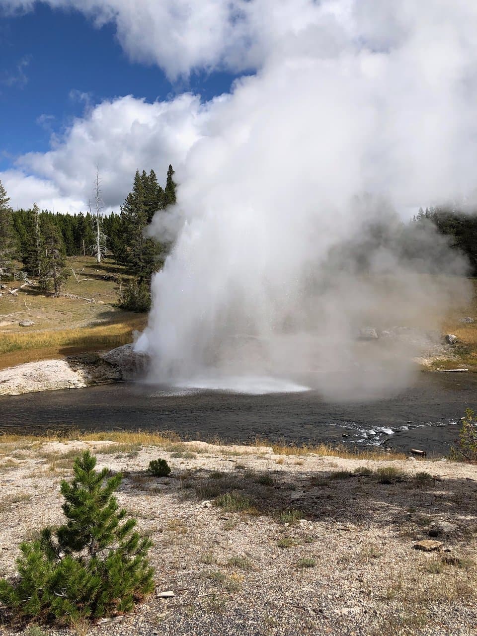Riverside Geyser erupting 9/2019
