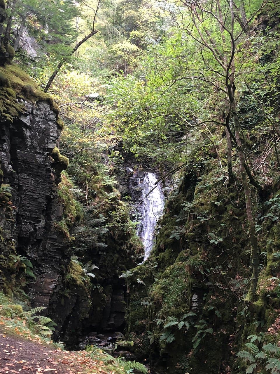 Leckmelm Woodland Garden