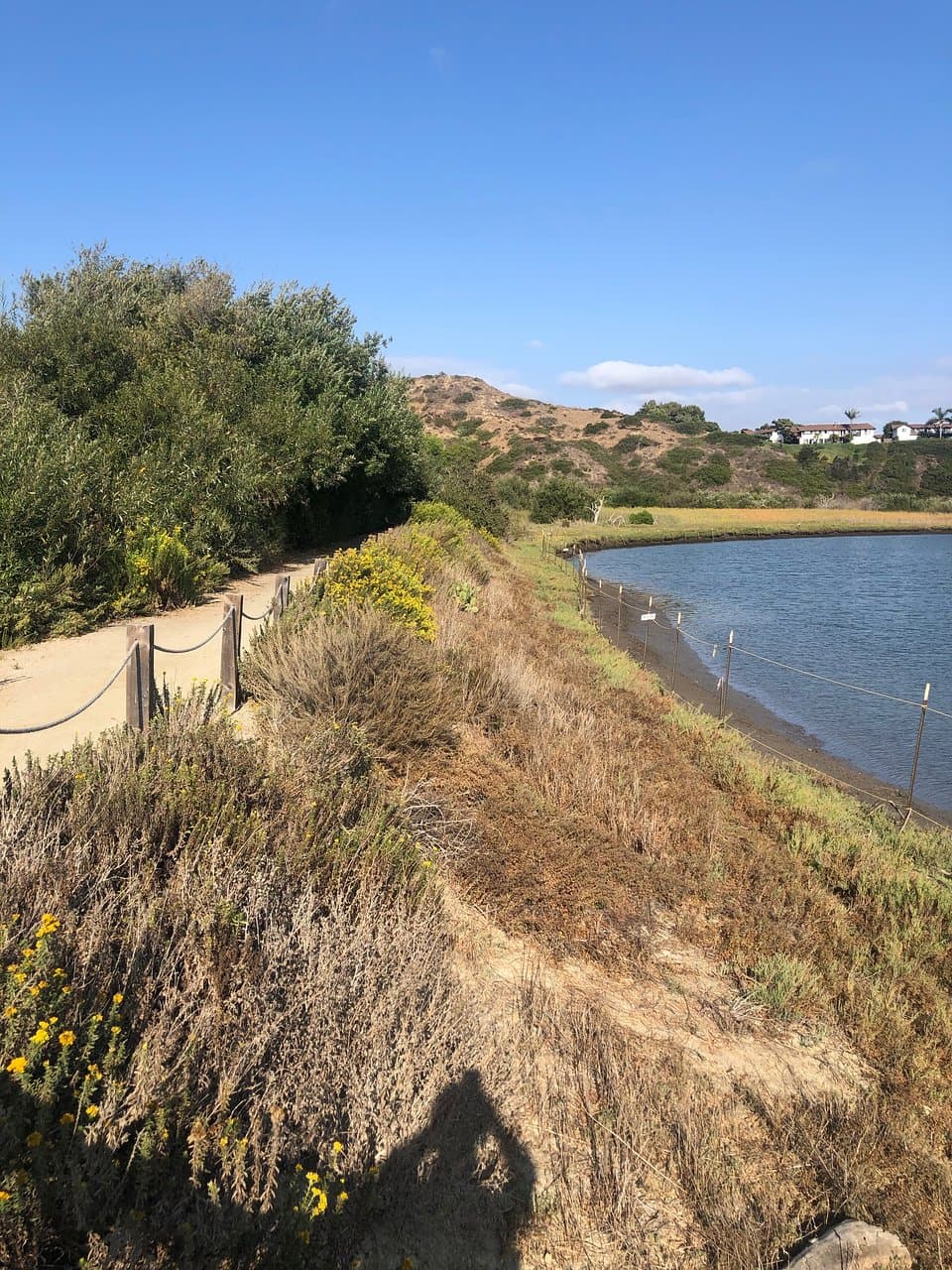 View Along Nature Trail