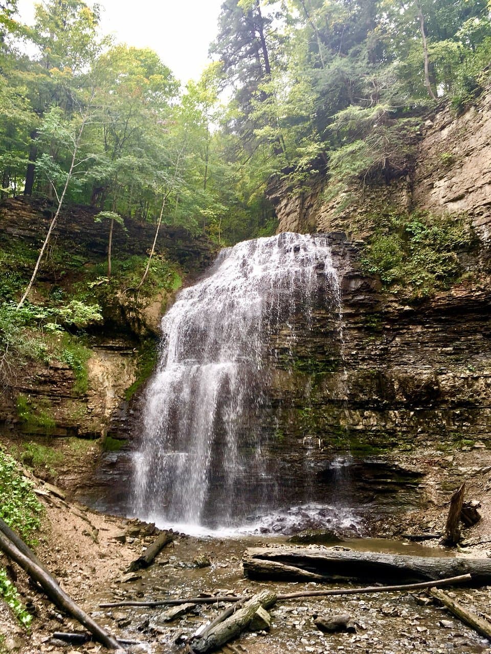 Tiffany Falls Hamilton