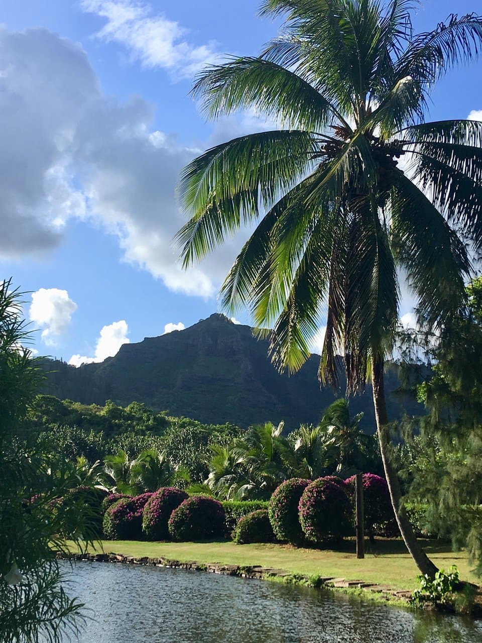 It doesn’t get much better than this!  Beautiful place on a beautiful island. 