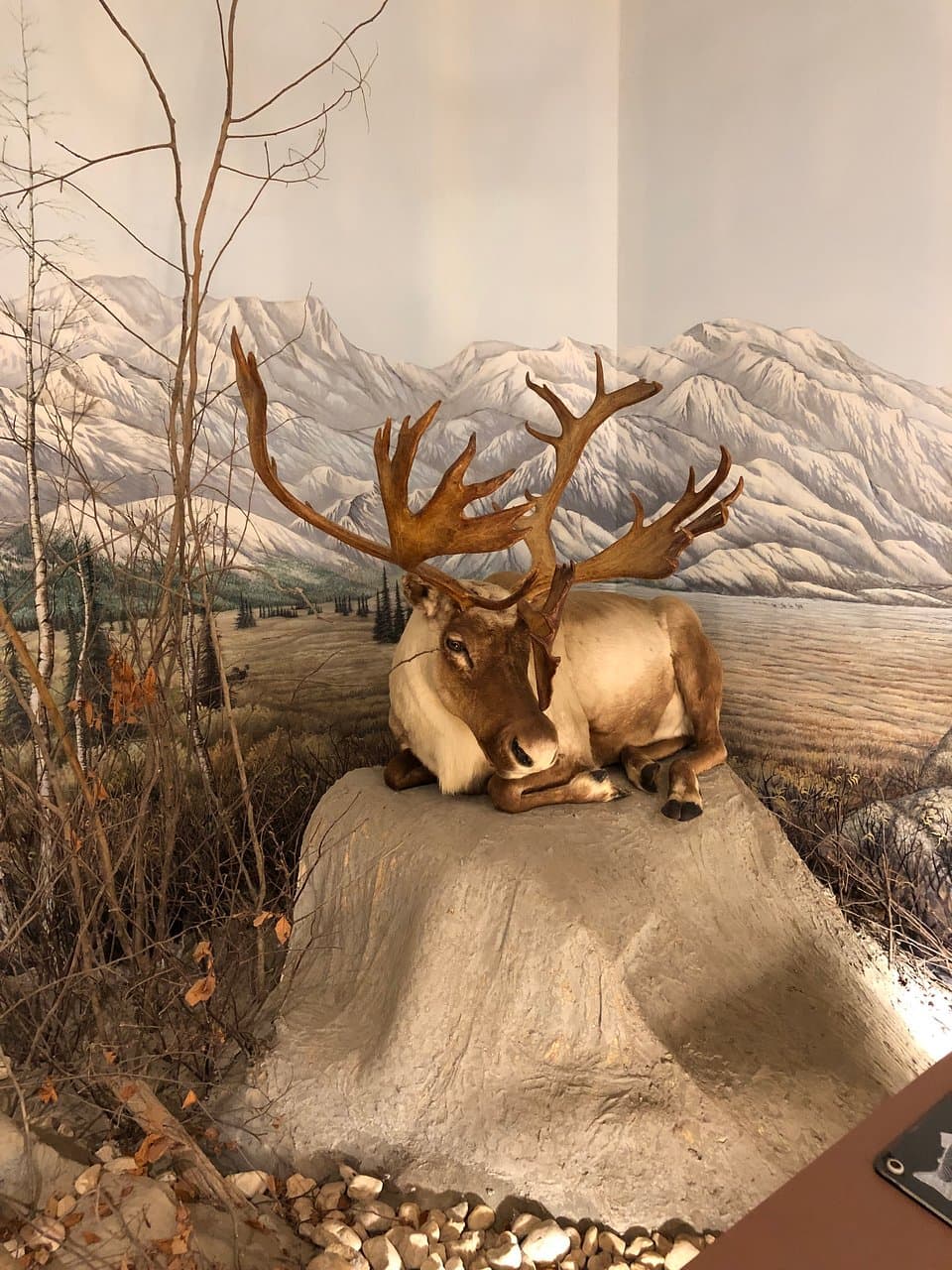 Corwin M. Nixon Park