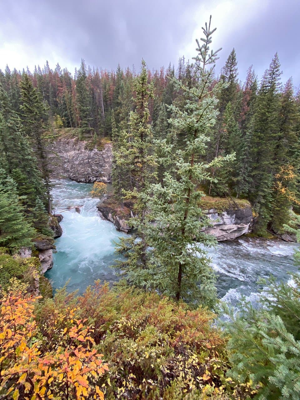 Maligne Canyon