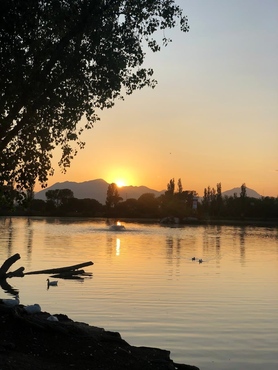 Estadio Francisco I. Madero