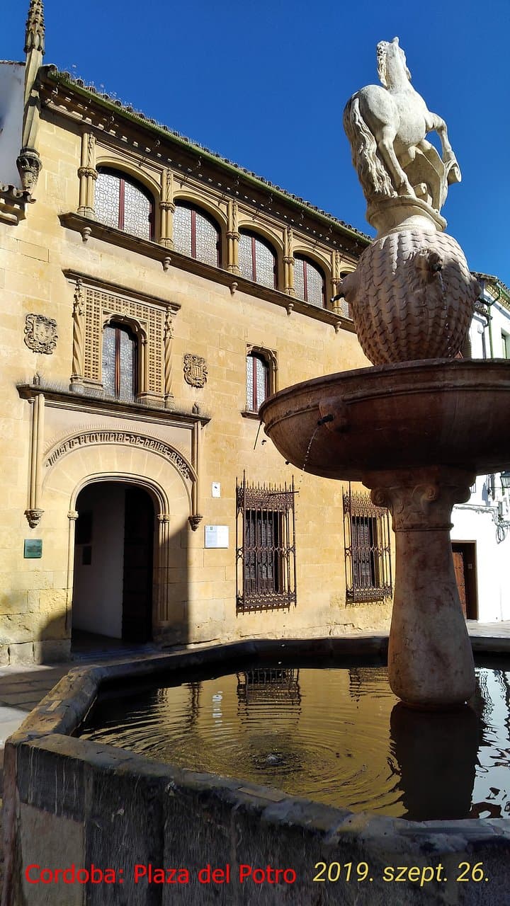 Kút lóval