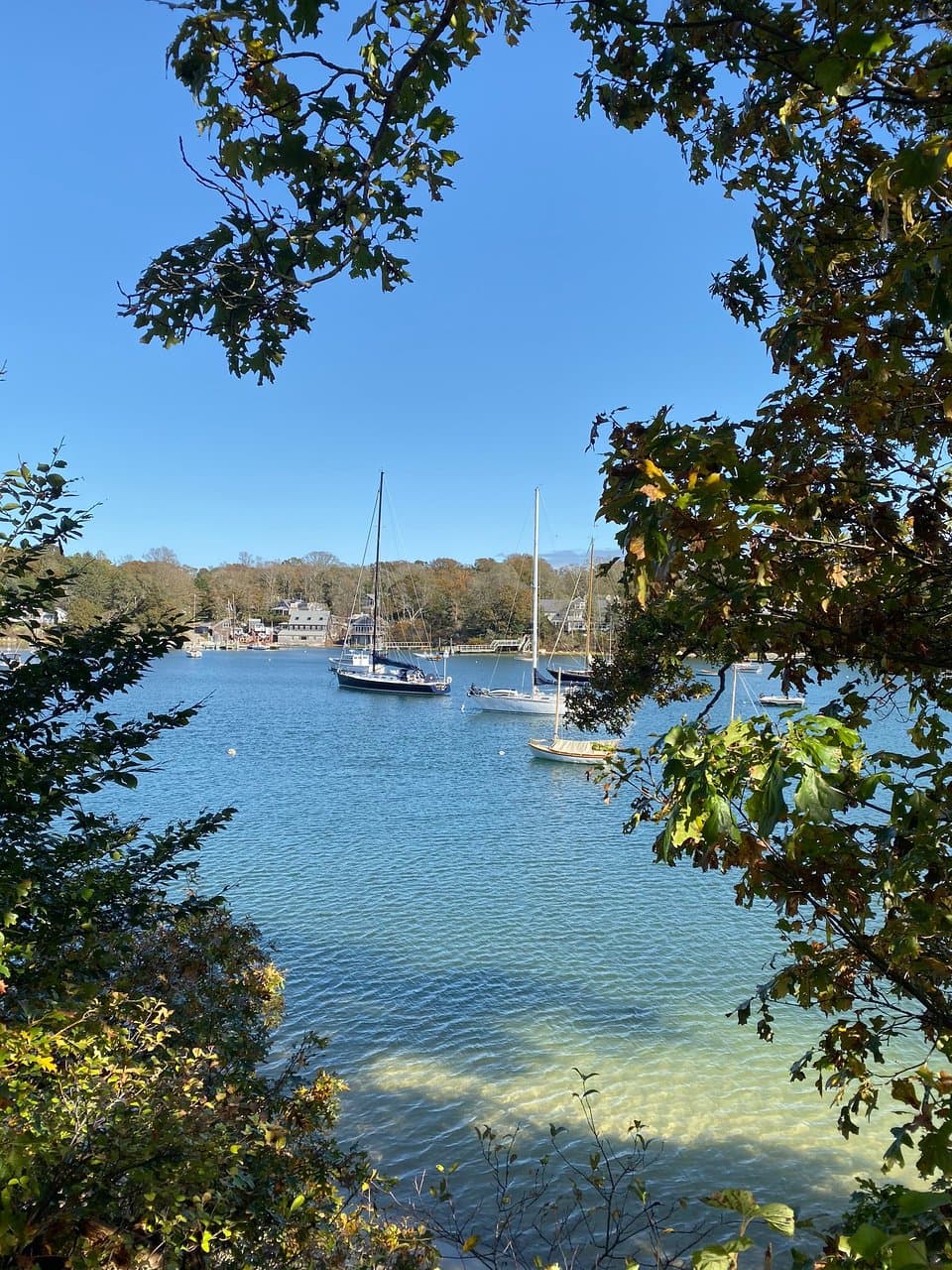 The Knob Quissett Harbor