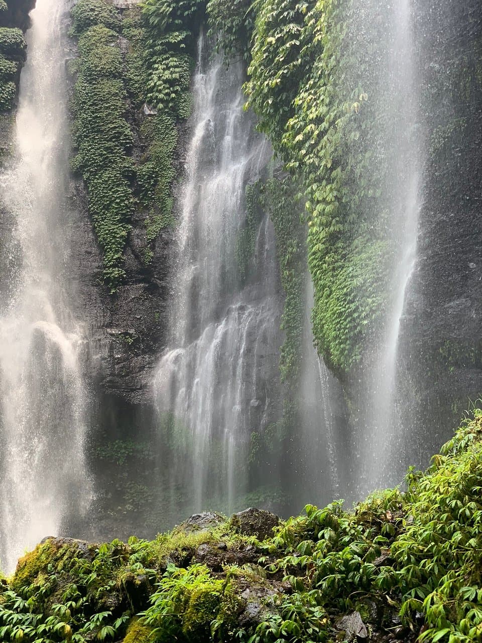 Fiji Waterfall Lemukih