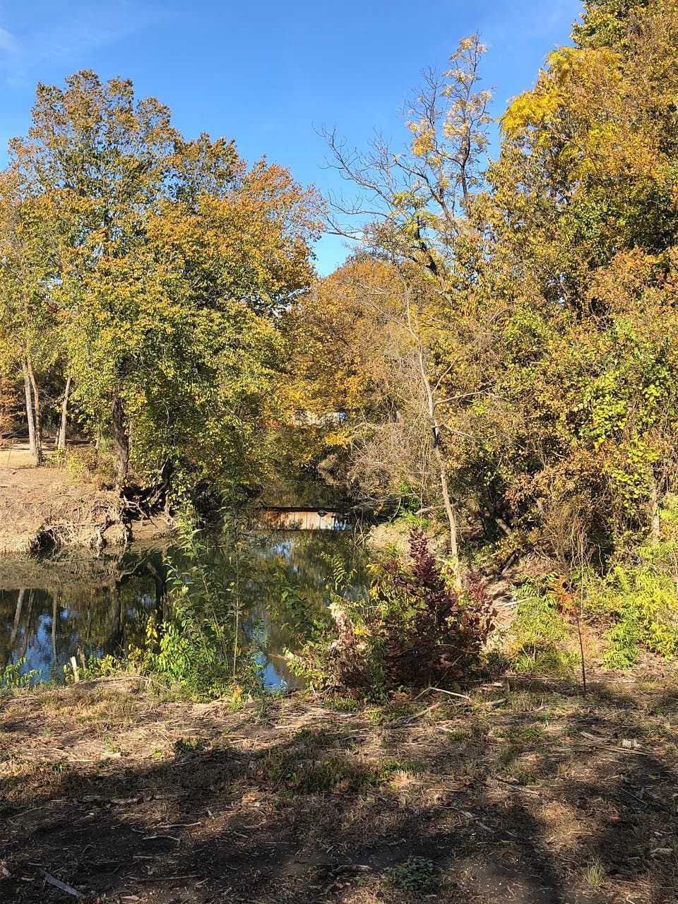 Allen Station Park