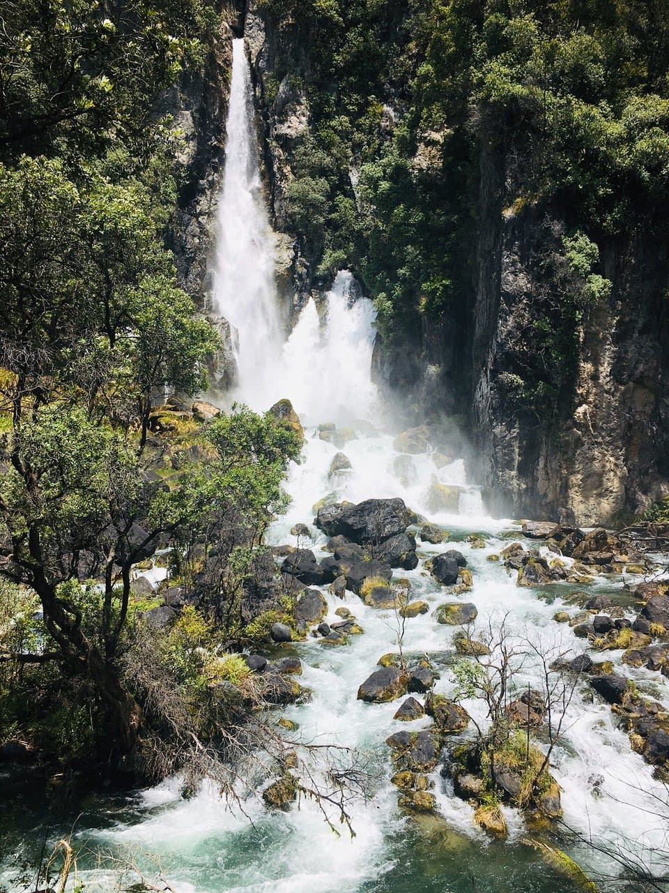 Tarawera Falls